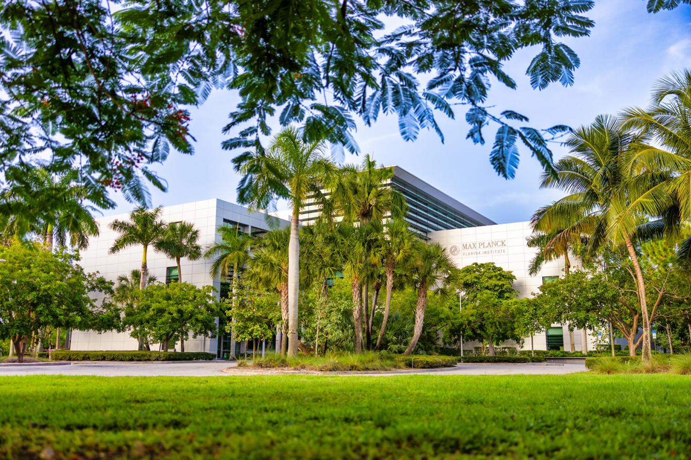 Max Planck Institute